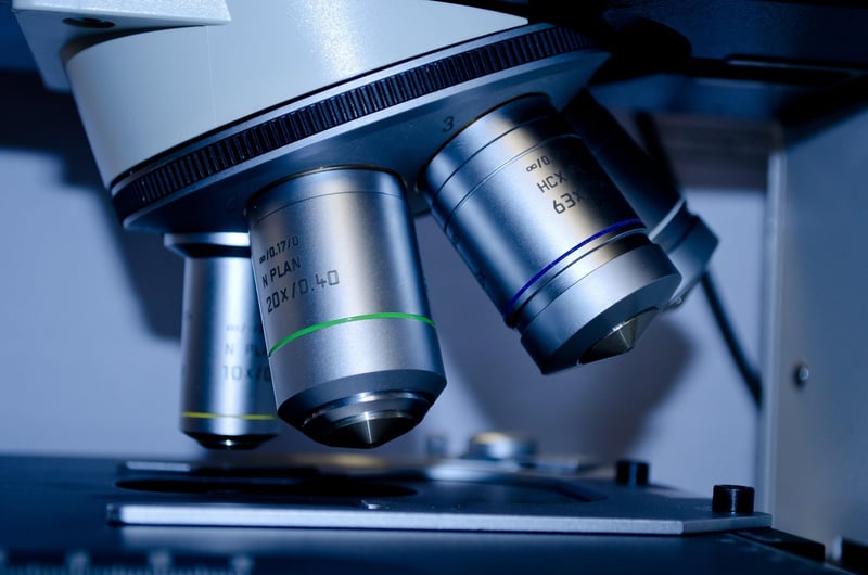 Bioinformatics in Biotechnology